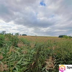 Dom sprzedam 57m2 Ożarów