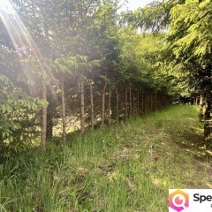 Dom do sprzedania Kamień Pomorski 75m2