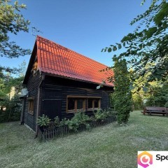 Ostrowo dom działka 230 m do  jeziora Powidzkiego fantastyczne miejsce