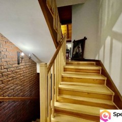 Podmiejska mała willa otoczona sosnami