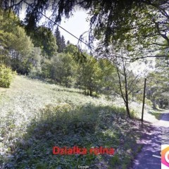 Okazja! Przedwojenny dom 209 m² + Działka 1,04 ha | Kudowa-Zdrój | Zamiana