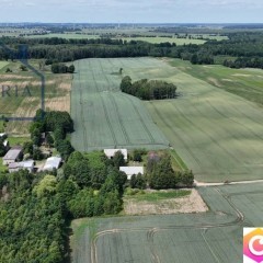 Wyjątkowe siedlisko pod lasem