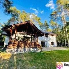 Podmiejska mała willa otoczona sosnami