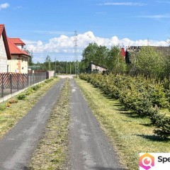 Dom po remoncie 106,5m2 działka 2873m2 + choinki
