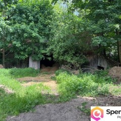 Siedlisko pod lasem, 4,81 ha, Puszcza Biała, Stara Pecyna, 1 h od Warszawy