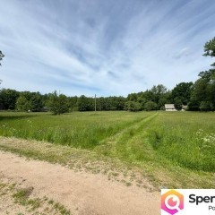 Siedlisko pod lasem, 4,81 ha, Puszcza Biała, Stara Pecyna, 1 h od Warszawy