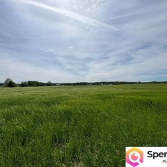 Siedlisko pod lasem, 4,81 ha, Puszcza Biała, Stara Pecyna, 1 h od Warszawy
