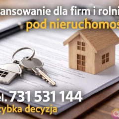 Pozabankowa pożyczka pod zastaw nieruchomosci bez BIK