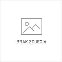 MONTAŻ WIDEO / ROLKI / REELS / SHORTS 🎥 